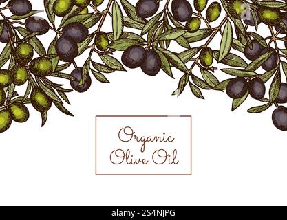 Bannière et affiche d'illustration vectorielle avec texte de lieu et branches d'olivier dessinées à la main ci-dessus. Illustration vectorielle avec texte de lieu et olive dessinée à la main Illustration de Vecteur