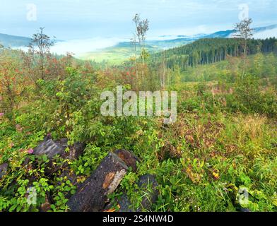 Chaîne des Carpates septembre hill et nuageux matin vue derrière. Banque D'Images