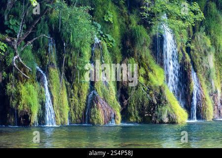 Vue d'été de magnifiques petites cascades et lac clair (en face du Parc National de Plitvice, Croatie) Banque D'Images