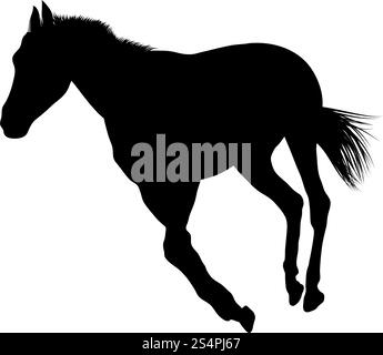 Silhouette de cheval. Lissage extrêmement détaillé. Illustration vectorielle.. silhouettes de chevaux Illustration de Vecteur
