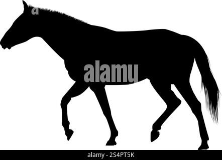 Silhouette de cheval. Lissage extrêmement détaillé. Illustration vectorielle.. silhouettes de chevaux Illustration de Vecteur