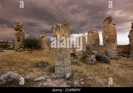 La forêt de pierre près de la ville de Varna sur la mer Noire en Bulgarie en Europe de l'est. EUROPE BULGARIE VARNA Banque D'Images