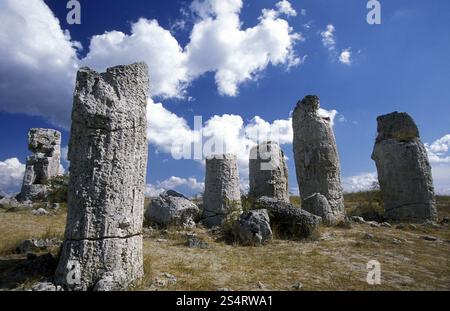 La forêt de pierre près de la ville de Varna sur la mer Noire en Bulgarie en Europe de l'est. EUROPE BULGARIE VARNA Banque D'Images