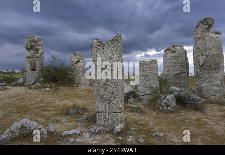 La forêt de pierre près de la ville de Varna sur la mer Noire en Bulgarie en Europe de l'est. EUROPE BULGARIE VARNA Banque D'Images
