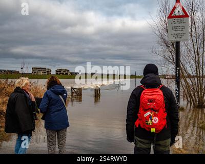 Nimègue, pays-Bas. 12 janvier 2025. On voit des gens regarder une zone inondée. La courte vague de hautes eaux en provenance d'Allemagne provoque une élévation des niveaux d'eau dans la ville néerlandaise de Nimègue. 12 mètres au-dessus de NAP (la base utilisée pour mesurer les niveaux d'eau) ont été mesurés. Crédit : SOPA images Limited/Alamy Live News Banque D'Images