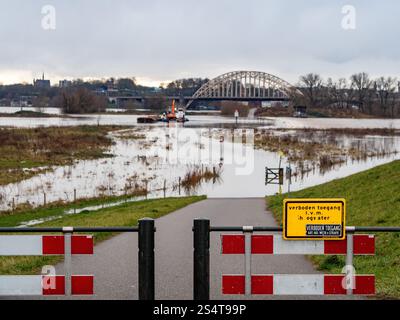 Nimègue, pays-Bas. 12 janvier 2025. Certaines pièces sont fermées en raison des zones inondées. La courte vague de hautes eaux en provenance d'Allemagne provoque une élévation des niveaux d'eau dans la ville néerlandaise de Nimègue. 12 mètres au-dessus de NAP (la base utilisée pour mesurer les niveaux d'eau) ont été mesurés. (Photo par Ana Fernandez/SOPA images/SIPA USA) crédit : SIPA USA/Alamy Live News Banque D'Images