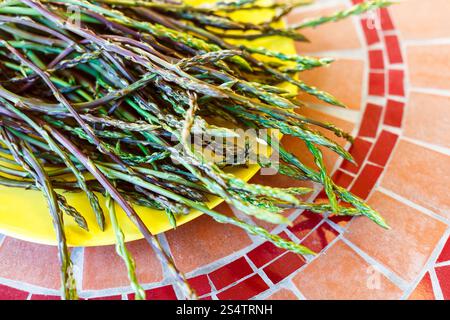 Les turions vert sauvage sur la plaque jaune Banque D'Images