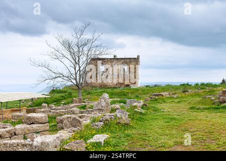 Anciennes ruines grecques dans la zone archéologique de Morgantina, Sicile, Italie Banque D'Images