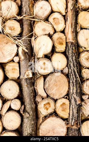 Libre de texture de journaux empilés et bois fraîchement coupé Banque D'Images