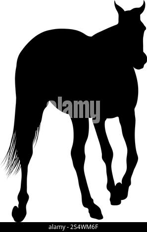 Silhouette de cheval. Lissage extrêmement détaillé. Illustration vectorielle.. silhouettes de chevaux Illustration de Vecteur