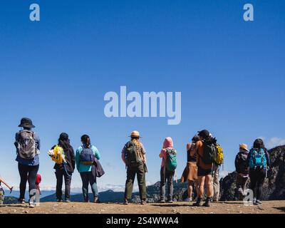 Groupe d'Américains d'origine asiatique et un garde forestier portant des vêtements colorés, regardant au-dessus d'une crête à un sentier dans le parc national du Mont Rainier. Banque D'Images