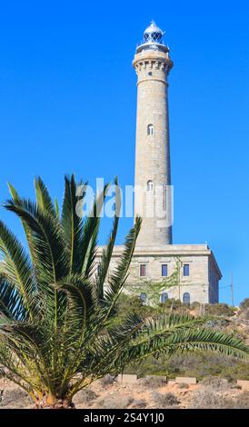 Leuchtturm Cabo de Palos vue d'été et palm arbre en face, Cartagena (Murcia, Espagne). Banque D'Images