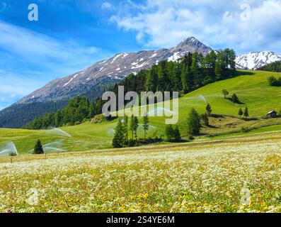 Jets d'eau d'irrigation dans la montagne des Alpes d'été (Italie). Ciel bleu avec quelques nuages. Banque D'Images