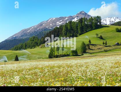 Jets d'eau d'irrigation dans la montagne des Alpes d'été (Italie). Ciel bleu avec nuage. Banque D'Images
