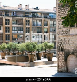 Billet à la Provence, France - peu de plantes ornementales jardin public sur la rue rue du Lacydon à Marseille Banque D'Images