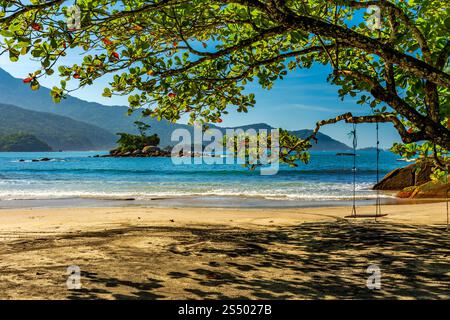 Plage sauvage de Castelhanos et son paysage tropical paradisiaque sur l'île d'Ilhabela à Sao Paulo Banque D'Images