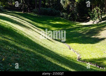 Vert pelouse parfaite sur le paysage conçu parc d'été creux. Bar d'ombres sur la surface incurvée de meadow pelouse. Banque D'Images