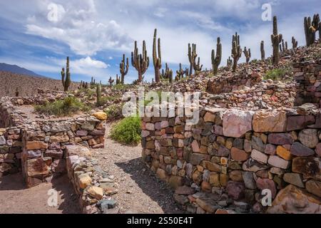 Pukara de Tilcara, fortifications précolombiennes, Argentine Banque D'Images