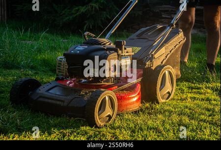 Tondeuse à gazon sur herbe verte. Machine pour couper des pelouses. Banque D'Images