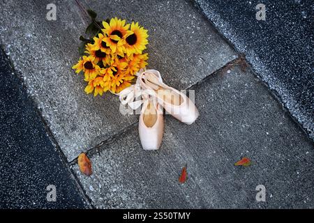 Chaussures de pointe sur une route avec tournesols et feuilles Banque D'Images