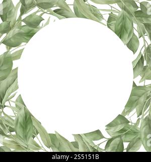 Couronne de saule et branches avec des feuilles vertes. Illustration numérique aquarelle. Cadre rond de brindilles et de feuilles isolées sur fond blanc Botanic Banque D'Images