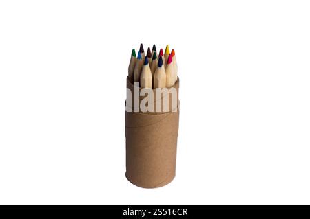 Crayons multicolores. Crayons de couleur crayon dans un cas isolé sur fond blanc Banque D'Images