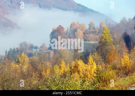 Paysage des montagnes des Carpates d'automne avec des arbres multicolores et un petit hameau sur la pente, et nuage brumeux au-dessus (district de Rakhiv, Transcarpathie, Banque D'Images