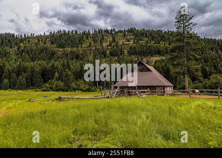 Rustique Barn au milieu de verdure luxuriantes et de grands pins dans la campagne, Red's Horse Ranch, Eagle Cap Wilderness, Oregon Banque D'Images