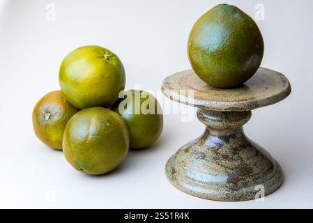 Oranges chocolat nombril sur le présentoir à gâteaux. Fond blanc. Orange chocolat, est un type d'orange Navel, une mutation qui a été découverte pour la première fois en 2006 Banque D'Images