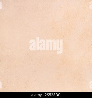 Fond carré de l'arrière de cuir végétal naturel Banque D'Images