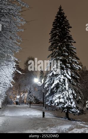 Belle nuit Stryjskyj hiver parc dans le centre-ville de Lviv (Ukraine) avec des arbres couverts de neige. Banque D'Images