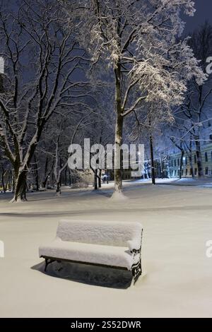Beau parc d'hiver de nuit dans le centre de la ville de Lviv (Ukraine) avec des arbres enneigés et des bancs. Banque D'Images