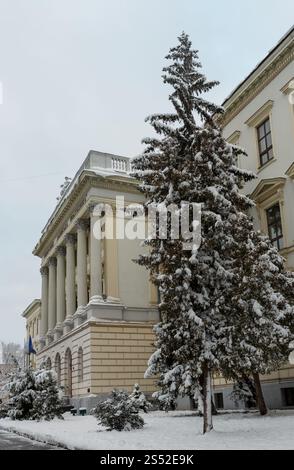 Belle nuit paysage d'hiver dans le centre de la ville de Lviv, Ukraine. L'Université Nationale Polytechnique de Lviv en façade du bâtiment principal et l'entrée. Banque D'Images