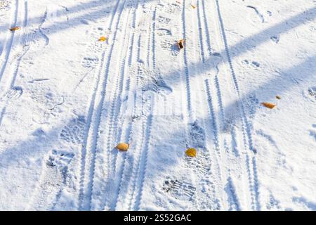 Sentiers de VTT dans la première neige dans la journée ensoleillée d'automne Banque D'Images