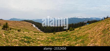 Début du printemps Carpates paysage du plateau, l'Ukraine, l'Europe. Banque D'Images