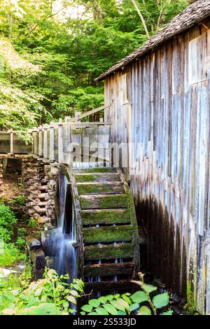 Un bâtiment en bois avec une roue à eau sur le côté. La roue à eau est entourée d'une forêt verdoyante Banque D'Images