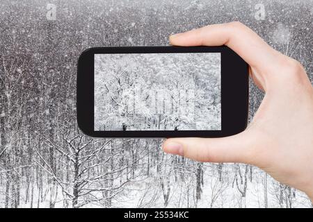Concept de voyage - photographies de tourisme de Oak Grove en forêt en hiver sur smartphone à Moscou, Russie Banque D'Images