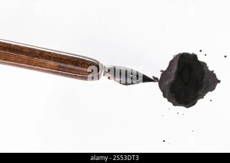 Vue de dessus de nib peint noir porte-plume encre brune sur blot sur papier blanc Banque D'Images