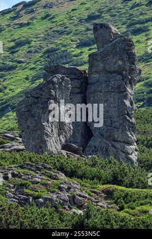 Gros blocs rocheux sur la montagne d'été vertical de la crête des Carpates, Vuhatyj Kaminj Chornohora,,, l'Ukraine. Banque D'Images