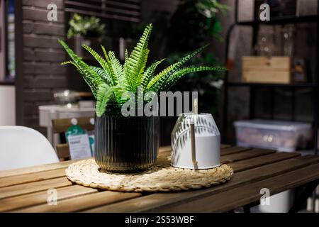 Plantes vertes artificielles en plastique sur la table dans l'appartement Banque D'Images