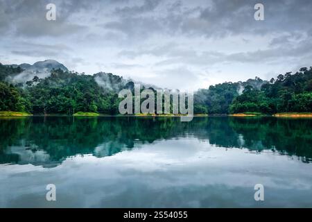 Matin brumeux sur le lac Cheow LAN dans le parc national de Khao Sok, Thaïlande. Matin brumeux sur le lac Cheow LAN, parc national de Khao Sok, Thaïlande Banque D'Images