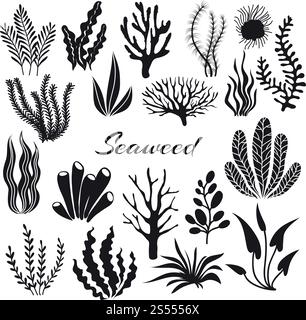 Algues d'aquarium. Plantes sous-marines, plantation océanique. Ensemble isolé de silhouette noire d'algues vectorielles. Sea Weed noir, illustration de plante océanique sous-marine. Algues d'aquarium. Plantes sous-marines, plantation océanique. Ensemble isolé de silhouette noire d'algues vectorielles Illustration de Vecteur