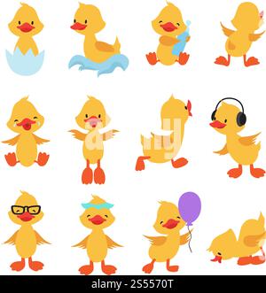 Poussins mignons. Canards jaunes de dessins animés. Ensemble vecteur bébé canard. Animal oiseau, illustration de bébé canard. Poussins mignons. Canards jaunes de dessins animés. Ensemble vecteur bébé canard Illustration de Vecteur