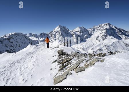 Randonneurs de ski à pied, panorama de montagne avec paysage de montagne enneigé en hiver, vue sur les sommets Koenigsspitze, Monte Zebru et Ortler, s. Banque D'Images