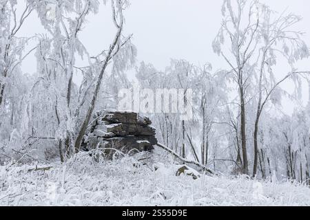 Formation rocheuse avec givre et neige au sommet du Czorneboh, montagnes de Lusace, haute Lusace, Saxe, Allemagne, Europe Banque D'Images