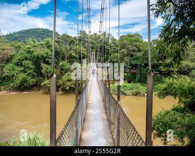Photo d'un jeune homme marchant sur le vieux pont suspendu au-dessus de la rivière dans la forêt tropicale humide. Image d'un jeune homme marchant sur l'ancienne suspension Banque D'Images