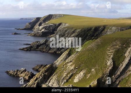 Côte falaise du sud du continent, îles Shetland, Écosse, Royaume-Uni, Europe Banque D'Images
