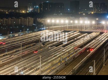 Nanjing, China.13th janvier 2025. Vue aérienne des trains à grande vitesse à une base de maintenance de la gare ferroviaire sud de Nanjing avant la ruée des voyages du Festival de printemps le 13 janvier 2025 à Nanjing, province chinoise du Jiangsu. Des travaux de maintenance des trains à grande vitesse sont en cours dans toute la Chine en préparation de la ruée des voyages du Festival du printemps pour assurer la sécurité des opérations ferroviaires. Crédit : Yang Bo/China News Service/Alamy Live News Banque D'Images