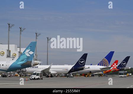 Divers appareils Lufthansa, Air Dolomiti, United Airlines, Air Malta, à la position d'enregistrement devant le terminal 2, terminal 2, aéroport de Munich, Upper B. Banque D'Images