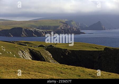 Côte falaise du sud du continent, îles Shetland, Écosse, Royaume-Uni, Europe Banque D'Images